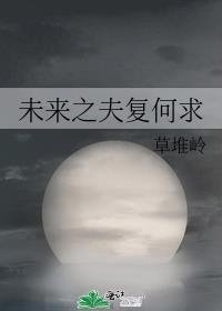 未来之夫父何求封面