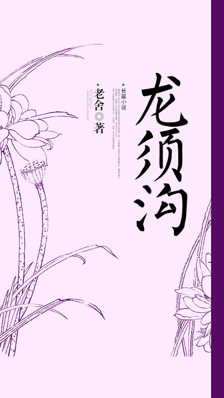 龙须沟封面