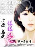冷面总裁狠狠封面