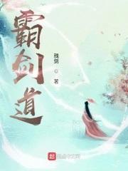 霸剑道封面