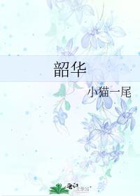 韶华封面