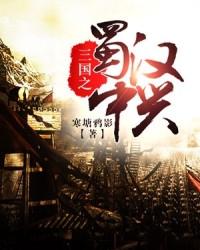三国之蜀汉中兴封面