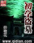 初学盗墓封面