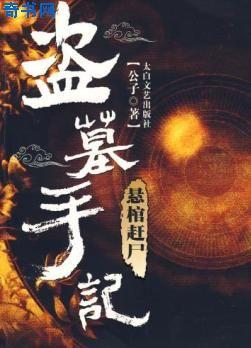盗墓手记封面