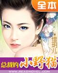 总裁的小野猫封面