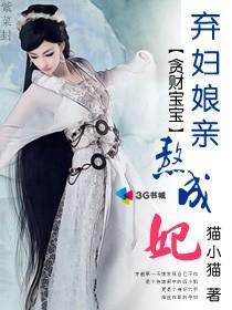 贪财宝宝:弃妇娘亲熬成妃封面