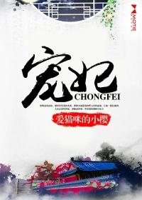 宠妃封面