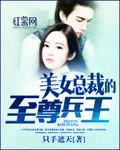 美女总裁的至尊兵王封面