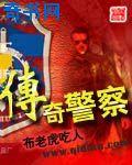 传奇警察封面
