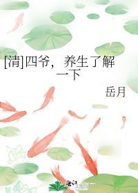 [清]四爷，养生了解一下封面