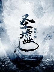 圣虚封面