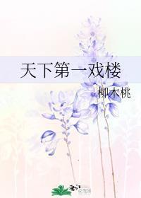 天下第一戏楼封面