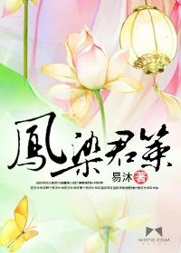 凤染君策封面