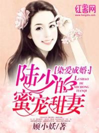 陆少的蜜宠甜妻封面