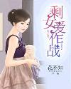 剩女爱作战封面