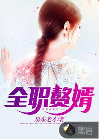 全职赘婿封面