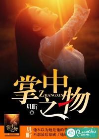 掌中之物封面