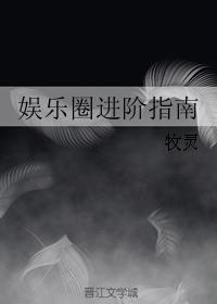 娱乐圈进阶指南封面