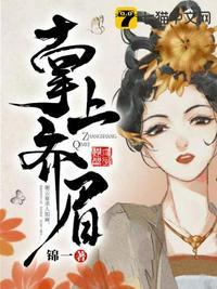 掌上齐眉封面