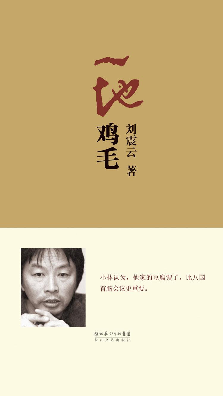 一地鸡毛封面