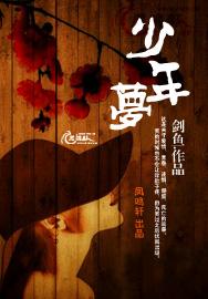 少年梦封面