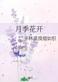 月季花开封面