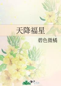 天降福星封面