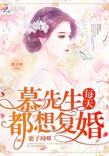 慕先生每天都想复婚封面