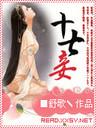 十七妾封面