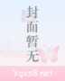 福气大嫂封面