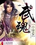 武魂封面