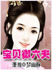 宝贝御六夫封面
