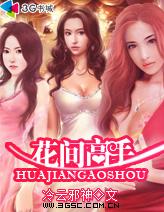 花间高手封面