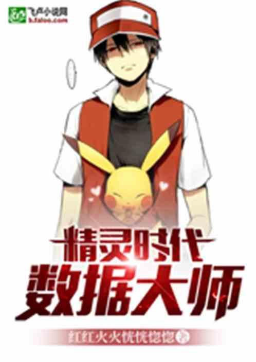 精灵时代：数据大师封面