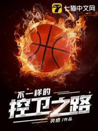 不一样的控卫之路封面