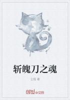 与沙共舞封面