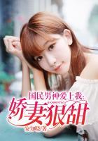 国民男神爱上我乔夏穆凉封面