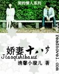 豪门小俏妻封面