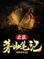 北派茅山笔记封面