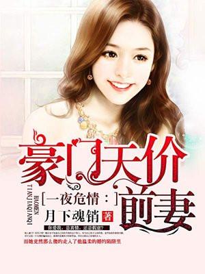 一夜危情：一夜危情：豪门天价前妻封面