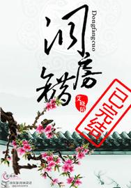 洞房错封面