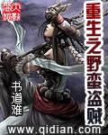 重生之野蛮盗贼封面