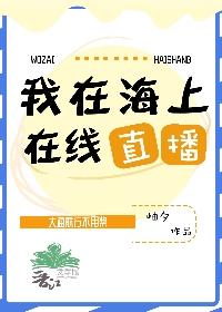 我在海上在线直播封面