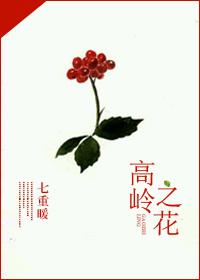 高岭之花封面