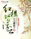 红楼皆浮云封面