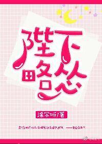 陛下略怂封面