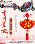 市井贵女封面