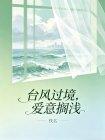台风过境,爱意搁浅封面