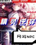 精灵网游时代封面