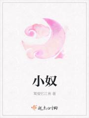 小奴封面